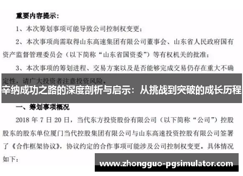 辛纳成功之路的深度剖析与启示：从挑战到突破的成长历程