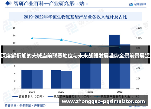 深度解析加的夫城当前联赛地位与未来战略发展趋势全景前景展望