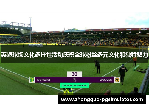 英超球场文化多样性活动庆祝全球粉丝多元文化和独特魅力
