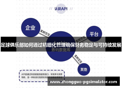 足球俱乐部如何通过精细化管理确保财务稳定与可持续发展