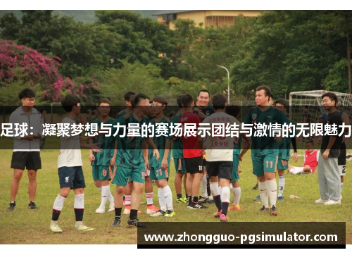 足球：凝聚梦想与力量的赛场展示团结与激情的无限魅力