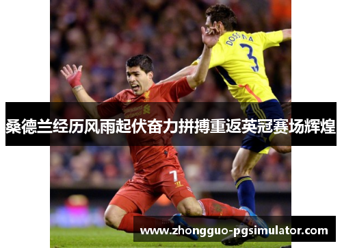 桑德兰经历风雨起伏奋力拼搏重返英冠赛场辉煌