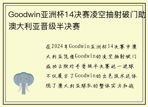 Goodwin亚洲杯14决赛凌空抽射破门助澳大利亚晋级半决赛